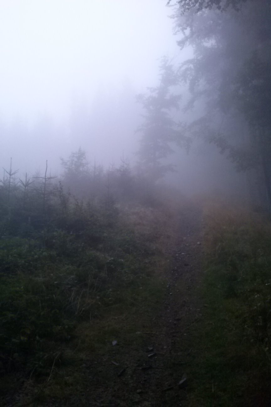 Ale byłby widok gdyby był
